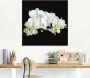 Artland Print op glas Witte orchidee op een zwarte achtergrond - Thumbnail 2