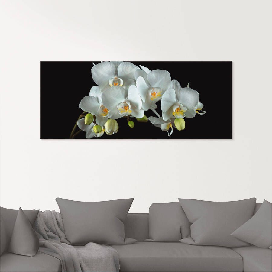 Artland Print op glas Witte orchidee op een zwarte achtergrond