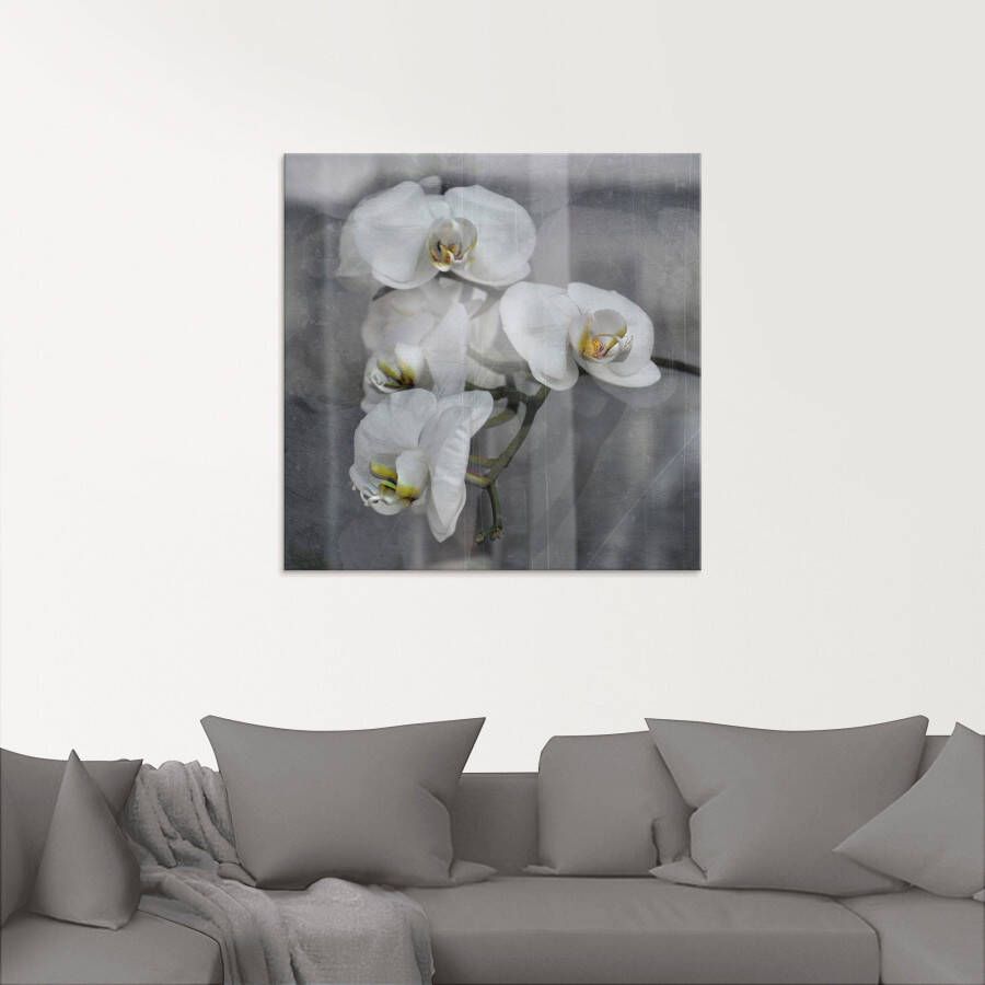 Artland Print op glas Witte orchideeën white orchidee