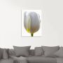 Artland Print op glas Witte tulp in verschillende maten - Thumbnail 2