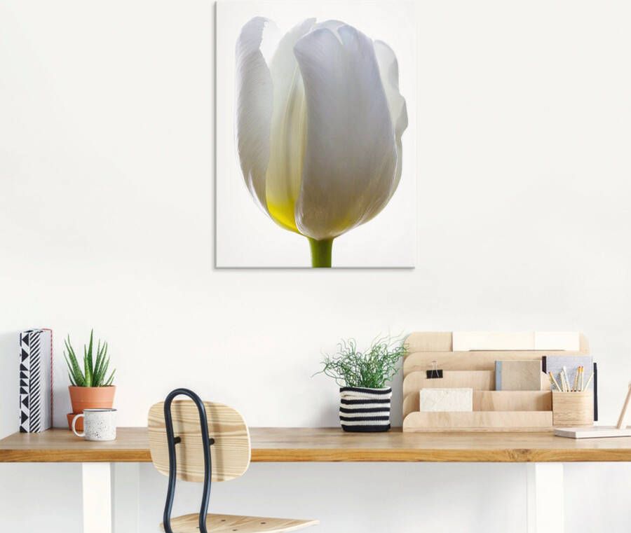 Artland Print op glas Witte tulp in verschillende maten