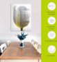 Artland Print op glas Witte tulp in verschillende maten - Thumbnail 5