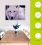 Artland Print op glas Witte wolf in verschillende maten - Thumbnail 5