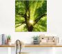 Artland Print op glas Zon straalt explosief door de boom - Thumbnail 2