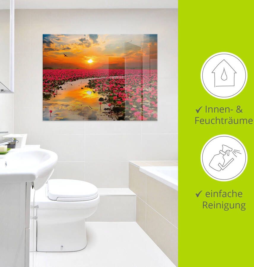 Artland Print op glas Zonneschijn bloeiende lotusbloem