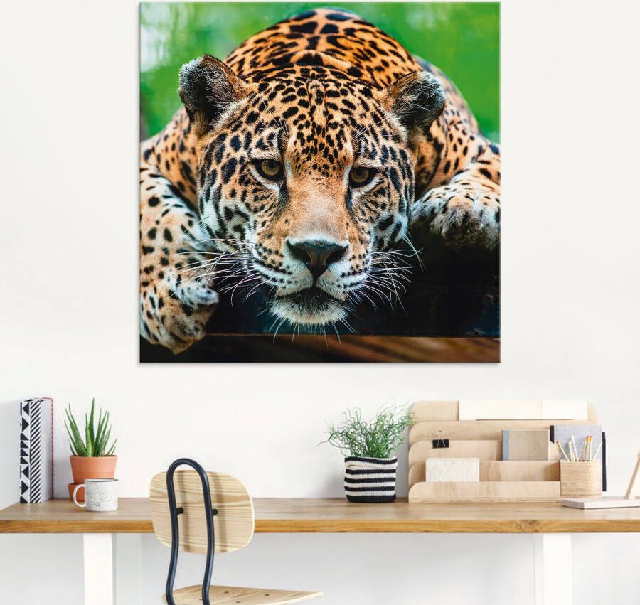Artland Print op glas Zuid-Amerikaanse jaguar