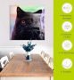 Artland Print op glas Zwarte Britse korthaar kat - Thumbnail 6