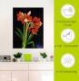 Artland Wandfolie Amaryllis zelfklevend - Thumbnail 4