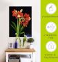 Artland Wandfolie Amaryllis zelfklevend - Thumbnail 5