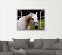 Artland Wandfolie Blik uit het venster wit paard - Thumbnail 2