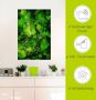 Artland Wandfolie Groen water - Thumbnail 4