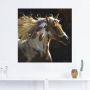 Artland Wandfolie Paard zelfklevend - Thumbnail 3