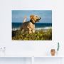 Artland Wandfolie Pup springt rond op het strand - Thumbnail 3