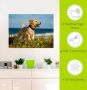 Artland Wandfolie Pup springt rond op het strand - Thumbnail 4