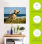 Artland Wandfolie Pup springt rond op het strand - Thumbnail 5