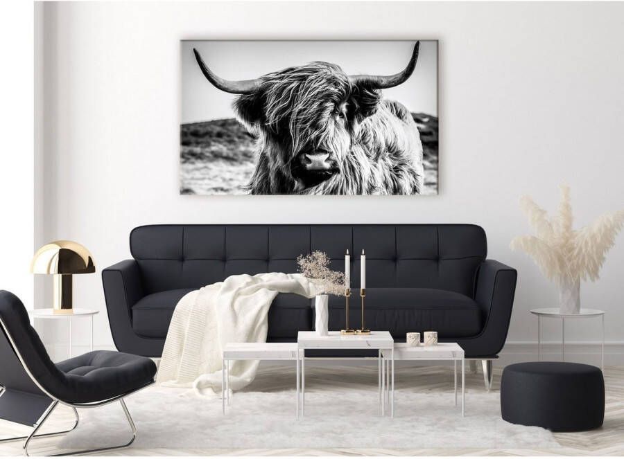 Bönninghoff Artprint op linnen Schotse hooglander (1 stuk)