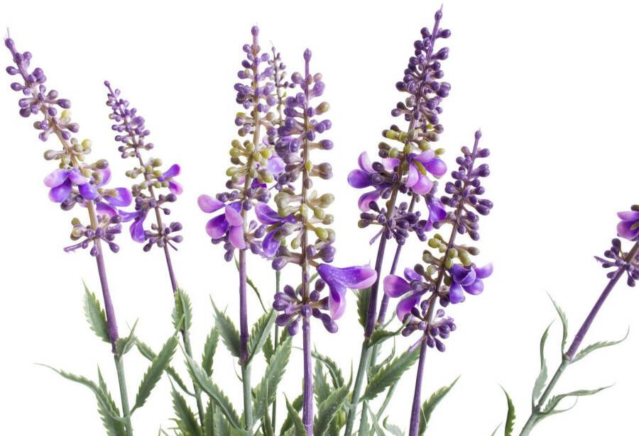 Botanic-Haus Kunst-potplanten Lavendel kruidenpotje (1 stuk)