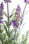Botanic-Haus Kunst-potplanten Lavendel (set 2 stuks) - Thumbnail 3