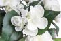 Botanic-Haus Kunstbloem Begonia in pot (1 stuk) - Thumbnail 2