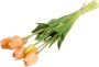 Nova Nature PSO Classic Tulip Bundle Sally x7 peach 47 cm kunstbloemen - Thumbnail 3