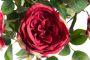 Botanic-Haus Kunstbloem Engelse rozenstruik (1 stuk) - Thumbnail 3