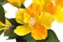 Botanic-Haus Kunstbloem Hibiscus in pot (1 stuk) - Thumbnail 2