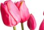 Nova Nature PSO Classic Tulip Bundle Sally x7 beauty 47 cm kunstbloemen - Thumbnail 3