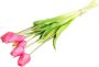 Nova Nature PSO Classic Tulip Bundle Sally x7 beauty 47 cm kunstbloemen - Thumbnail 4