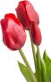 Nova Nature Bosje Tulpen Sally Classic rood kunstbloem - Thumbnail 4