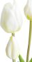 Nova Nature Bosje Tulpen Sally 47 cm creme kunstbloem - Thumbnail 4