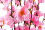 Botanic-Haus Kunstbloem Voorjaarsbloemen (1 stuk) - Thumbnail 3