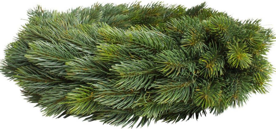 Botanic-Haus Kunstkrans Luxe adventskrans aan beide kanten (1 stuk)