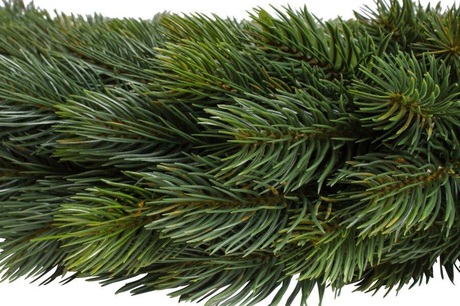 Botanic-Haus Kunstkrans Luxe adventskrans aan beide kanten (1 stuk)