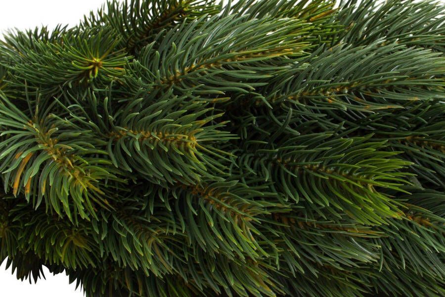 Botanic-Haus Kunstkrans Luxe adventskrans aan beide kanten (1 stuk)