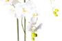 Botanic-Haus Kunstorchidee Orchidee (1 stuk) - Thumbnail 2