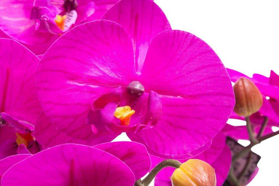 Botanic-Haus Kunstorchidee Orchidee Bora (1 stuk)