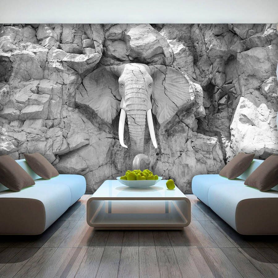Consalnet Fotobehang Olifant in rots