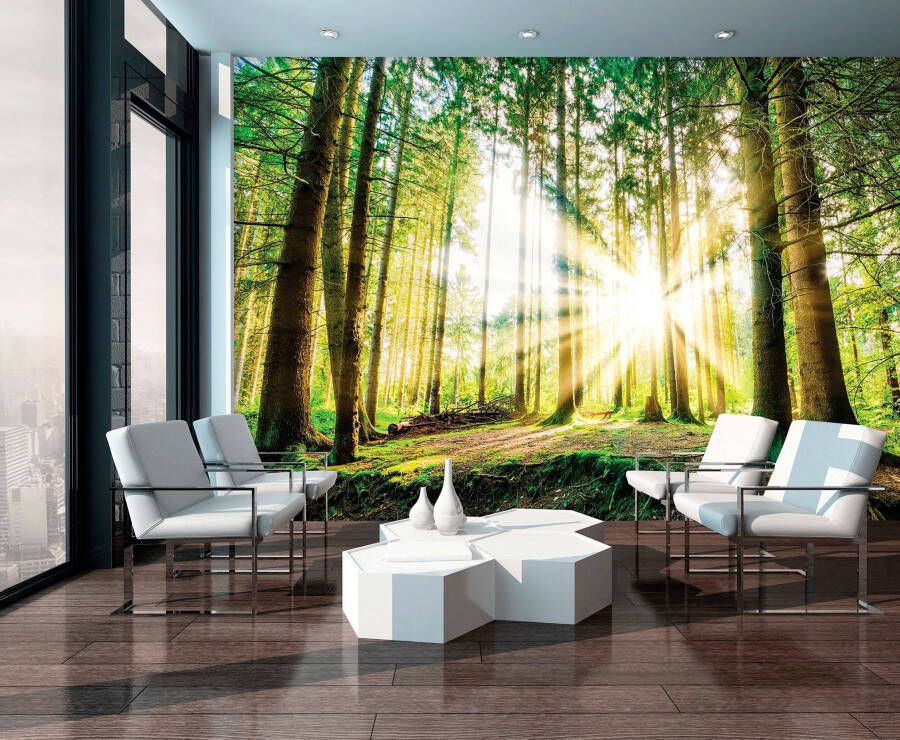 Consalnet Fotobehang Zonnig bos