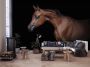 Consalnet Vliesbehang Bruine paard - Thumbnail 4