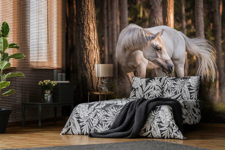 Consalnet Vliesbehang Paard in het bos