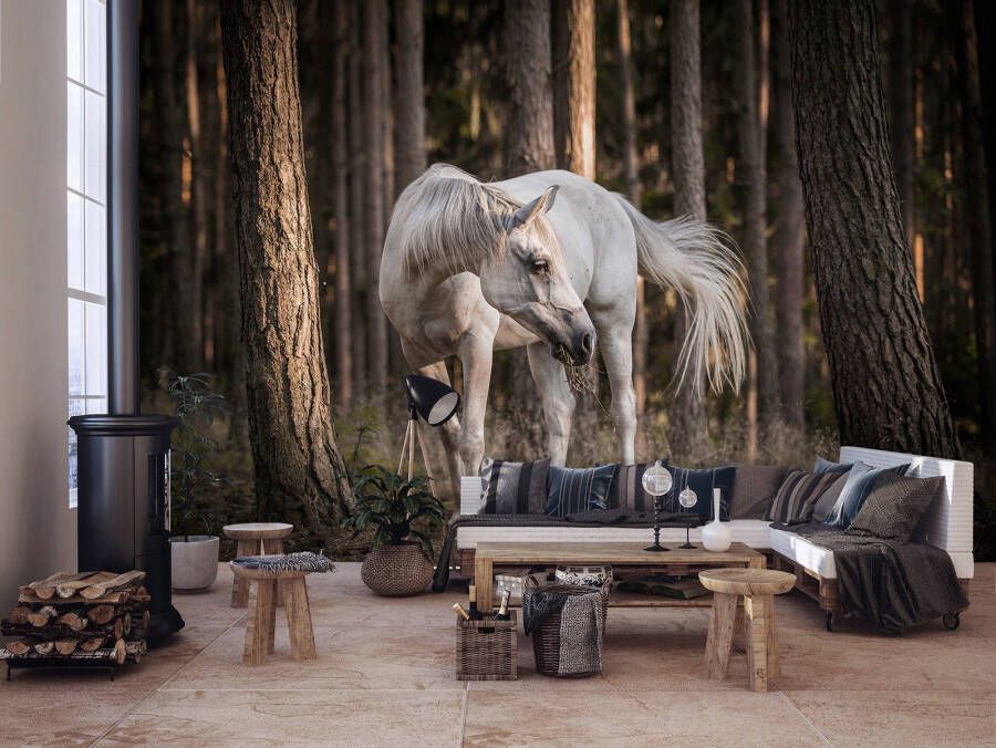 Consalnet Vliesbehang Paard in het bos