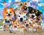Consalnet Vliesbehang Selfies honden in verschillende maten - Thumbnail 2
