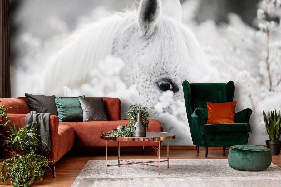 Consalnet Vliesbehang Witte paard in de sneeuw