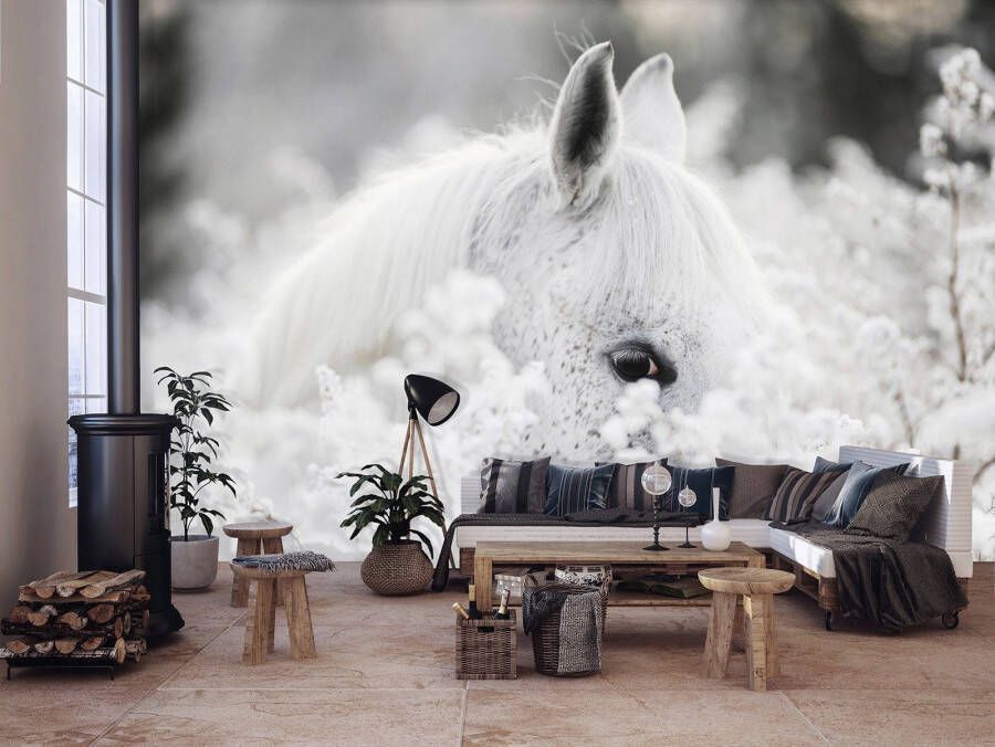 Consalnet Vliesbehang Witte paard in de sneeuw