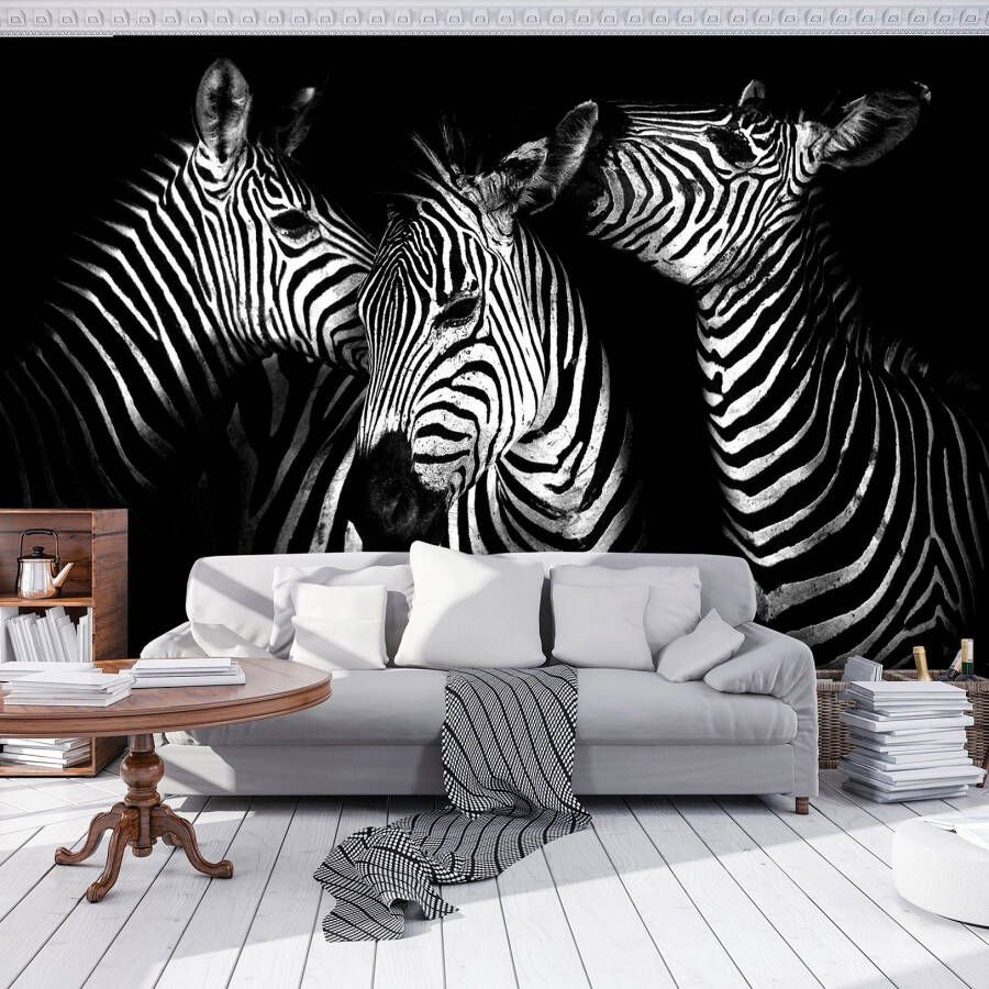 Consalnet Vliesbehang Zebra in verschillende maten