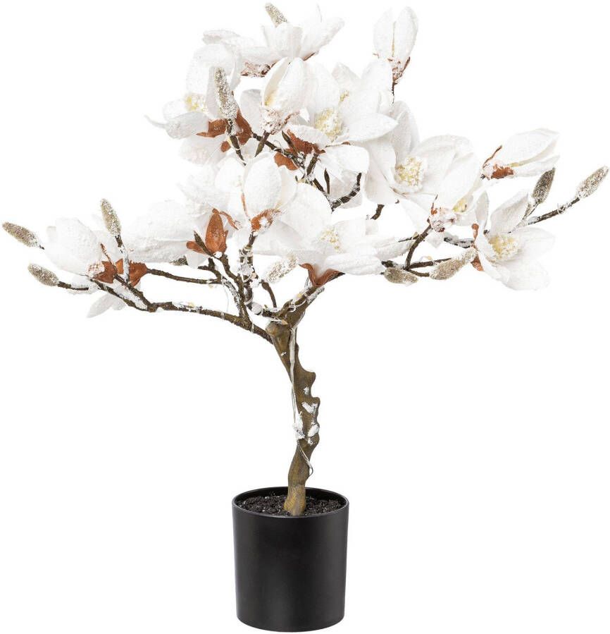 Creativ deco Kunstplant MAGNOLIE besneeuwd hoogte ca. 58 cm met 20 leds