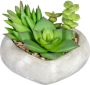 Creativ green Kunst-potplanten Vetplanten-arrangement in cementkom set van 3 (3 stuks) - Thumbnail 2