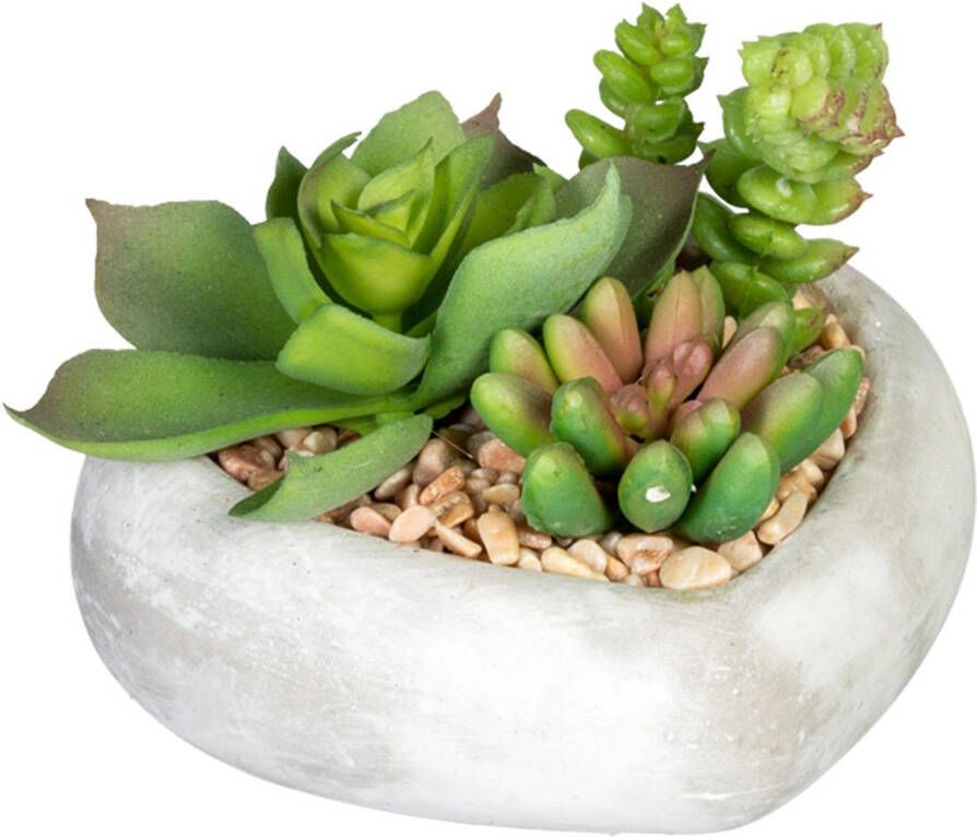 Creativ green Kunst-potplanten Vetplanten-arrangement in cementkom set van 3 (3 stuks)