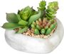 Creativ green Kunst-potplanten Vetplanten-arrangement in cementkom set van 3 (3 stuks) - Thumbnail 3