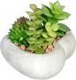 Creativ green Kunst-potplanten Vetplanten-arrangement in cementkom set van 3 (3 stuks) - Thumbnail 4